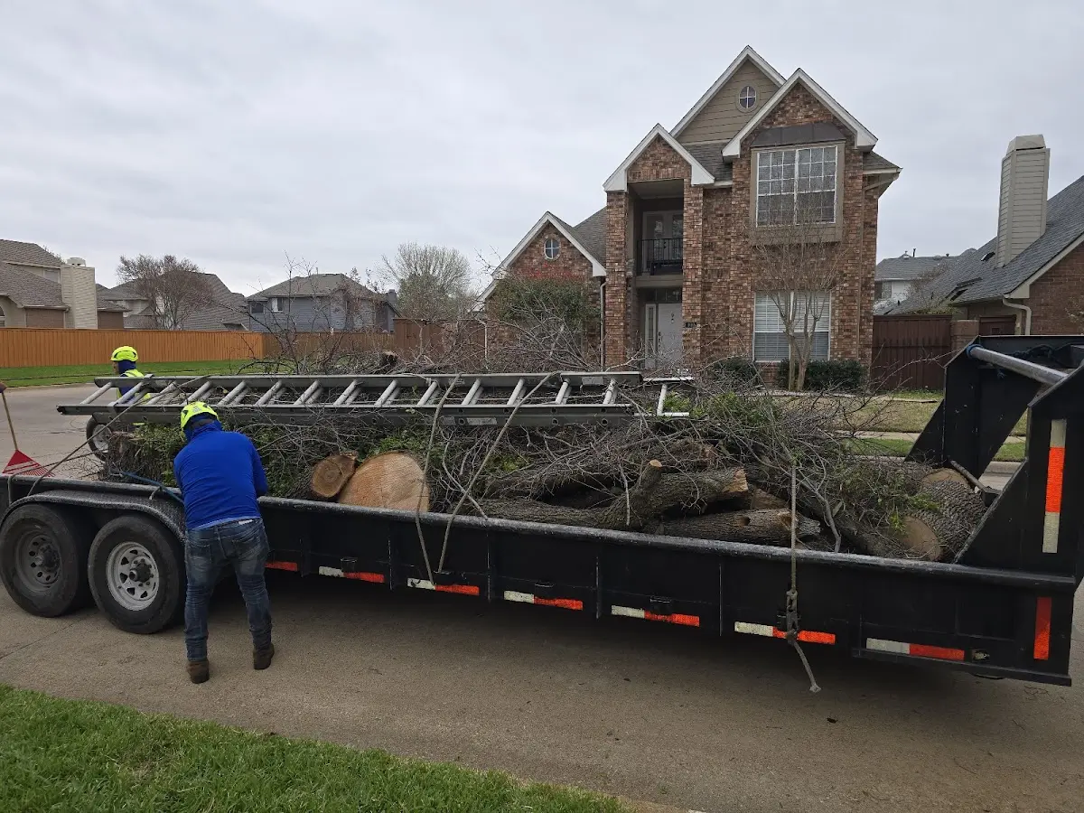Expert Tree Removal with proper safety equipment in Gothenburg